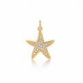 Star Fish Charm